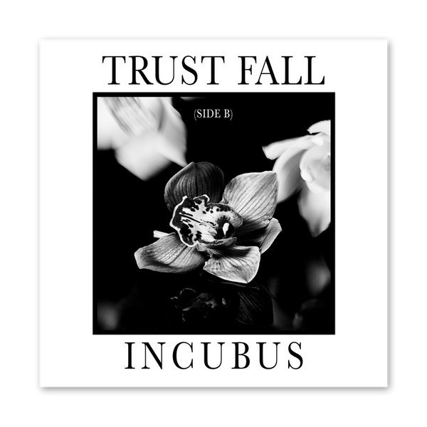 Trust Fall Side B Ep Digi Download